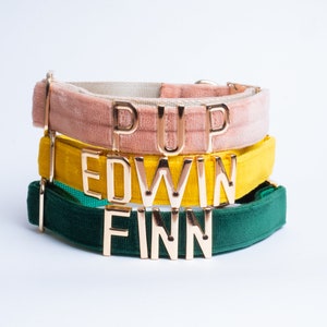 May include: Three stacked velvet pet collars in dusty pink, mustard yellow, and forest green. Each collar features gold-toned metal letters spelling out PUP, EDWIN, and FINN respectively, with matching gold-toned metal hardware on the sides.