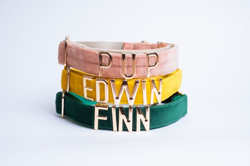 May include: Three stacked velvet pet collars in dusty pink, mustard yellow, and forest green. Each collar features gold-toned metal letters spelling out PUP, EDWIN, and FINN respectively, with matching gold-toned metal hardware on the sides.