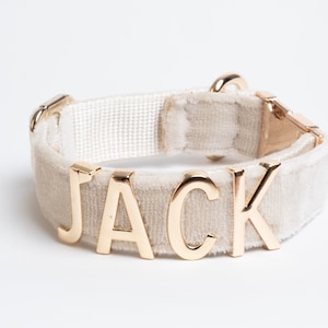 Collare personalizzato con lettera dorata, collare per cani in velluto, collari personalizzati con nome in metallo, targhetta con nome personalizzato per collare per cani.