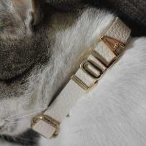 Collar de gato personalizado cuero crema, collar de gato personalizado, collar de gato personalizado con letra dorada, collar de gato ajustable, collar de gato de regalo y correa
