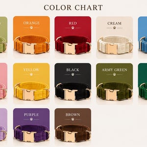 May include: A color chart displaying twelve velvet pet collars with gold-tone metal buckles and D-rings. The colors include olive drab, orange, red, cream, blue, pink, yellow, black, army green, emerald, lilac, purple, and brown.