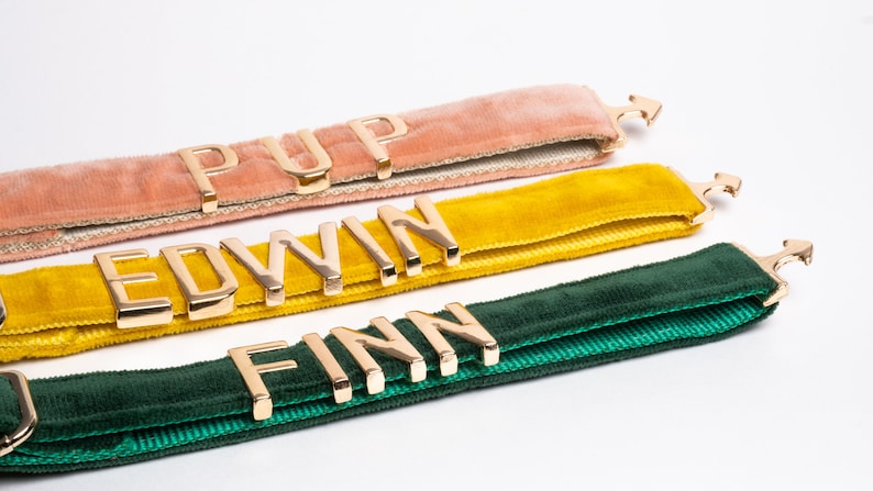 May include: Three velvet collars in dusty pink, mustard yellow, and forest green. Each collar features gold-toned metal letters spelling out the names PUP, EDWIN, and FINN, respectively, with matching gold-toned metal hardware and buckles.