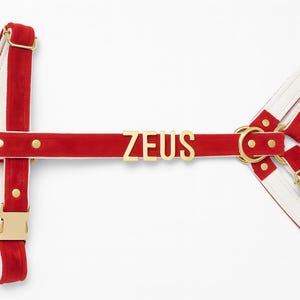 May include: A red and white harness with gold-colored hardware. The word "ZEUS" is spelled out in gold letters across the center strap. The harness has adjustable straps and buckles.