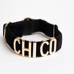May include: A black fabric collar featuring gold-toned metal letters that spell out the word CHICO. The collar includes a gold-toned metal D-ring, a sliding adjuster, and a side-release buckle, all finished in a matching metallic gold tone.