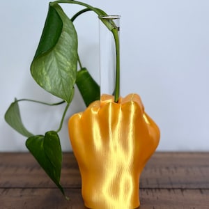 May include: A gold-colored, fist-shaped vase holding a clear glass tube with a green plant stem and leaves. The vase is made of a textured material and sits on a wooden surface. The plant has large, heart-shaped leaves.