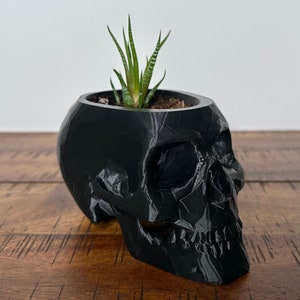 May include: A black skull-shaped planter with a small succulent plant growing inside. The planter is made of a textured, 3D-printed material.