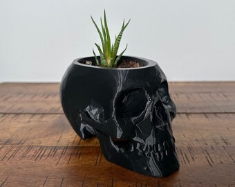 May include: A black skull-shaped planter with a small succulent plant growing inside. The planter is made of a textured, 3D-printed material.