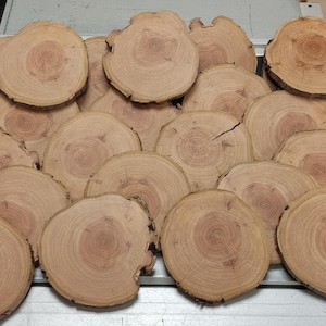May include: A collection of round wooden slices, likely for crafts or home decor. The slices are various sizes and have a natural wood grain pattern.