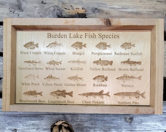May include: A wooden sign with the text "Burden Lake Fish Species" and illustrations of various fish species, including black crappie, white crappie, bluegill, pumpkinseed, redbreast sunfish, tessellated darter, white sucker, killifish, yellow bullhead, brown bullhead, white perch, yellow perch, golden shiner, rockbass, walleye, smallmouth bass, largemouth bass, chain pickerel, and northern pike.
