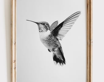 Hummingbird Wall Art Printable, Black and White Bird Print, Minimalist Nature Decor, Modern Farmhouse Digital Download