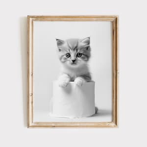 Cute Kitten Print Cat Wall Art Animal Bathroom Wall Art Animal Bathroom Poster Kitty Art Print Kitty Gift black and white Bathroom Art Print