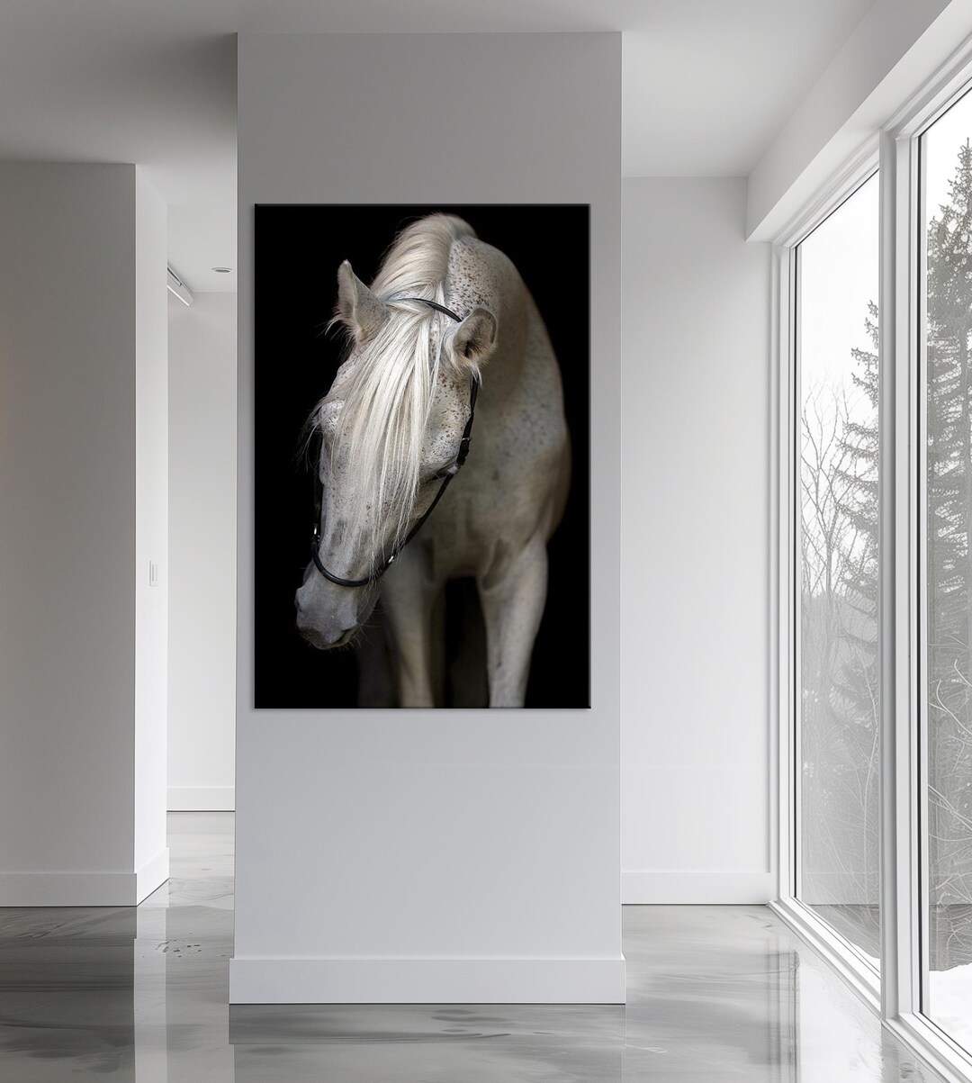 White Horse Canvas Print: Large Equestrian Farmhouse Wall Art - Etsy
