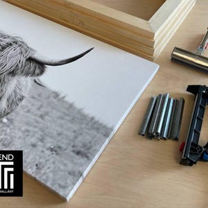 Peut inclure: Impression sur toile en noir et blanc d'une t&ecirc;te de vache Highland avec des cornes. La toile est &agrave; c&ocirc;t&eacute; d'un cadre en bois, d'agrafes, d'une agrafeuse et d'un tendeur de toile. La toile porte le texte "TREND CANVASWALLART".