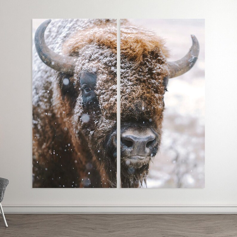 Winter Bison Portrait Canvas Print - Farmhouse Rustic Wall Art - Etsy