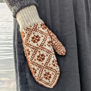 May include: A knitted mitten with a brown and cream geometric pattern. The mitten is worn on a person's hand, with a grey sweater sleeve visible. The mitten's cuff is a light beige colour. The background shows a dark grey garment and a body of water.