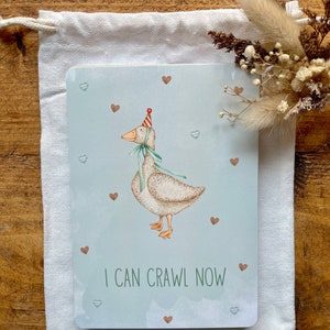 Cartes bébé jalon - Doux animaux de la forêt | Cadeau baby shower | Cadeau unisexe pour bébé | Nouveau parent | Nouveau cadeau pour bébé | Nouveaux jalons pour bébé