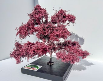 Eastern Redbud Model Tree in Spring Bloom