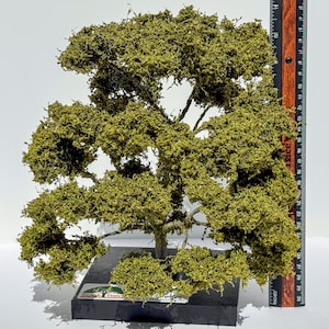 Modelo de roble caducifolio de 25 cm de alto
