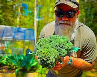 Waltham Broccoli Seeds