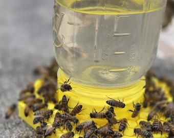 Bee Feeder for Mason jar