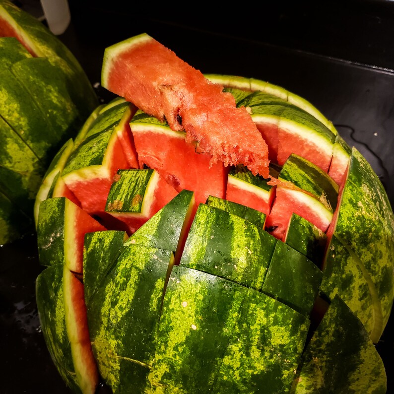 May include: A watermelon cut into squares and arranged in a decorative pattern. The watermelon is green on the outside and red on the inside.