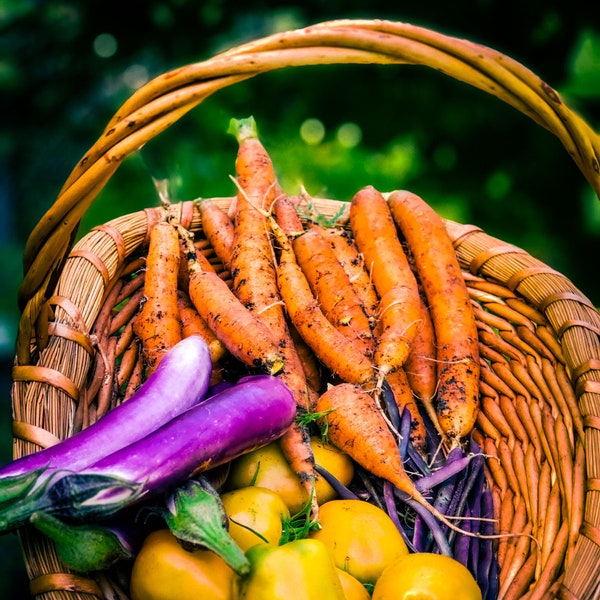 Danvers Carrot seeds