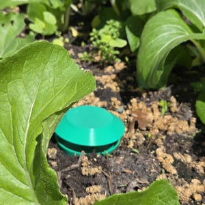 Slug/snail Trap for garden