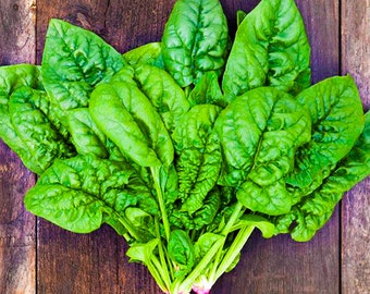 Bloomsdale Spinach Seeds