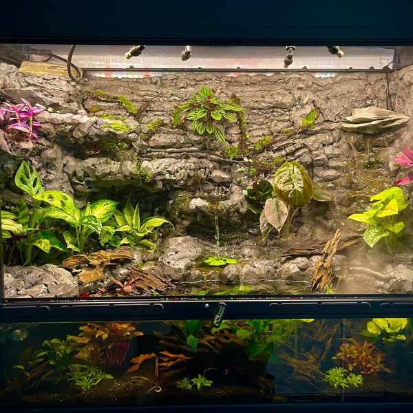 Fond de paludarium/terrarium/aquarium