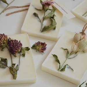 Profumatori botanici - Bomboniere personalizzate - Tavolette botaniche
