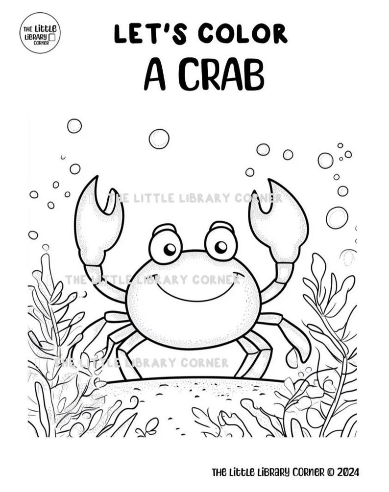 Ocean Animals Storytime - Etsy