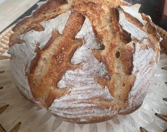Sourdough Starter