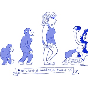 5 millions d’années d’évolution