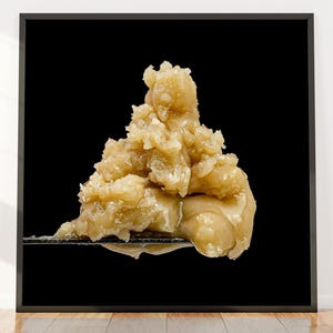 Pink Cherry Sherb Hash Rosin Macro Photo Print – Cannabis Art