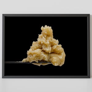 Pink Cherry Sherb Hash Rosin Photo – Cannabis Concentrate Couture Poster