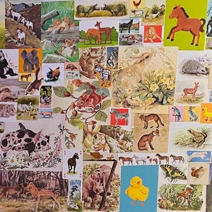 Vintage Ephemera Tiere Themed Mystery Pack x 50 Stück Ephemera für Scrapbooking Junk Journal