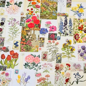 Vintage Ephemera Floral Themed Mystery Pack x 50 Stück Blumen Ephemera für Scrapbooking Junk Journal