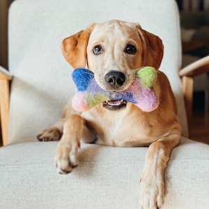 Handmade dog felt bone | sustainable wool puppy dog | fetch bone toy