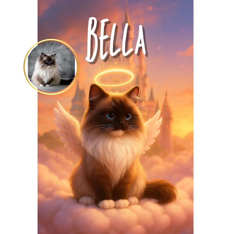 Puede incluir: Ilustraci&oacute;n de un gato con alas de &aacute;ngel y un halo, sentado en una nube. El gato tiene pelaje marr&oacute;n y blanco y ojos azules. La palabra "BELLA" est&aacute; escrita encima del gato en escritura blanca. Una imagen m&aacute;s peque&ntilde;a del gato est&aacute; en la esquina superior izquierda.
