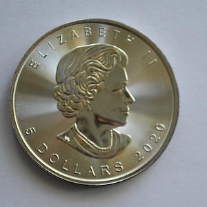 2020 Canada 5 Dollars 1 Oz. Silver Maple Leaf World Coin Silver - .999 Fine Silver Coin - Good Date - Silver Coins - Money - Nice Luster