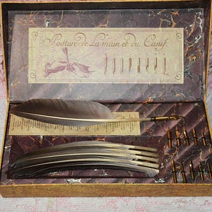 Quill Pen Set-Calligraphy Pens-6 Quills and 10 Nibs Boxed-Federn Plumes D&#39;Oie - Complete Box Set Never Used