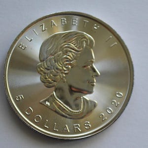 2020 Canada 5 Dollars 1 Oz. Silver Maple Leaf World Coin Silver - .999 Fine Silver Coin - Good Date - Silver Coin - Money - Nice Luster
