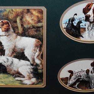 May include: A framed print with three images of dogs and birds. The top image shows a brown and white dog with a brown and white bird. The middle image shows a brown and white dog with two brown and white birds. The bottom image shows a brown and white dog with a brown and white bird.