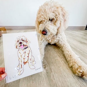 Custom Hand Illustrated Pet Portrait