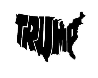 Political Trump Vinyl Decal