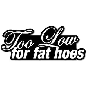 Funny Too Low For Fat Hoes Lowrider Vinyl Decal