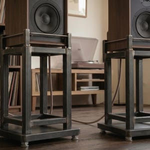 Può includere: Due altoparlanti in legno scuro su supporti in metallo personalizzati. Gli altoparlanti hanno grandi driver circolari neri. I supporti sono in metallo grigio scuro e hanno una base rettangolare. Un giradischi e dischi in vinile sono visibili sullo sfondo.