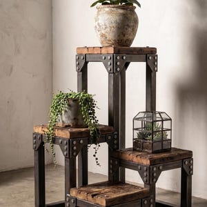 Peut inclure: Un support à plantes à plusieurs niveaux composé d'une structure en métal sombre avec des rivets apparents et d'épaisses planches en bois vieilli. La structure présente quatre niveaux de hauteurs variées, accueillant une plante et un terrarium.