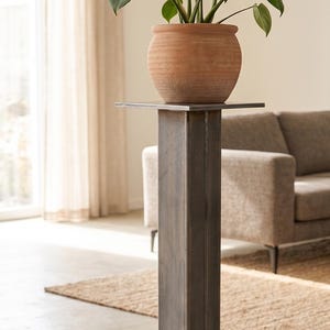 Può includere: Un alto supporto per piante in metallo in stile industriale con base quadrata, colonna verticale rettangolare e piastra superiore quadrata piatta. Sopra vi è un vaso color terracotta contenente una pianta Monstera con grandi foglie.