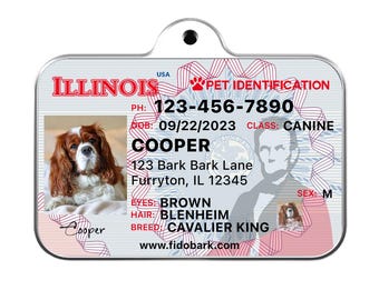 Illinois Pet ID Tag: Custom Driver License Dog Tag